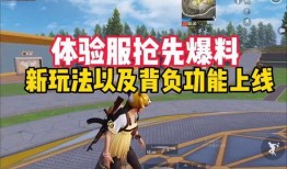 爆料体验服最新玩法视频