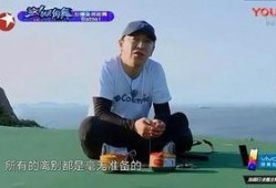 爆料娱乐圈文案句子,揭秘明星背后的故事
