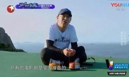 爆料娱乐圈文案句子,揭秘明星背后的故事