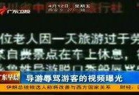 知名导游爆料视频下载,带你走进不为人知的旅游行业内幕