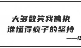 爆料娱乐圈文案句子,揭秘明星背后的故事
