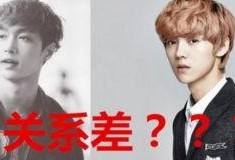 鹿晗求婚最新爆料新闻,甜蜜细节引网友热议