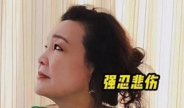 孟贺爆料视频大全集,揭秘背后真相与惊人内幕