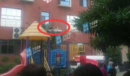 北海今日爆料电话,揭秘电话背后的惊人真相