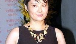 袁莉爆料李红简介视频,揭秘背后真相，视频曝光惊人内幕