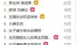 网红新闻爆料模板,揭秘背后真相】
