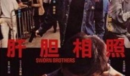 电影肝胆相照在线观看,生死相依，兄弟情深
