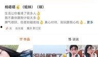 网红新闻爆料模板,揭秘背后真相】
