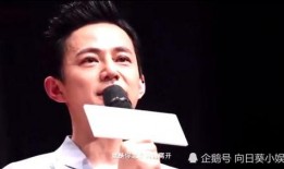 何炅往事爆料是真的吗视频,揭秘明星背后的真实故事