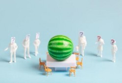 娱乐圈吃瓜爆料 汇总,揭秘明星背后的故事与真相