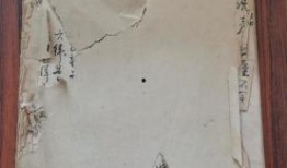 广州探店爆料视频大全最新