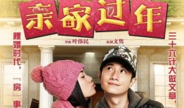 亲家过年 在线观看,温馨家庭团聚，共度欢乐时光