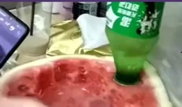 我的吃瓜室友们免费阅读,一场别开生面的阅读狂欢