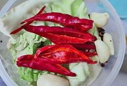四川酸菜爆料视频大全集,视频大全集带你领略地道酸香魅力