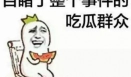 网红吃瓜爆料朝阳群众,揭秘朝阳群众背后的故事