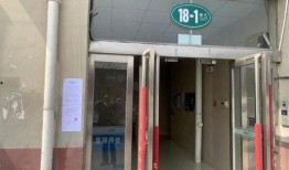 爆料卖惨夫妇视频播放下载,播放量飙升，下载热潮席卷网络