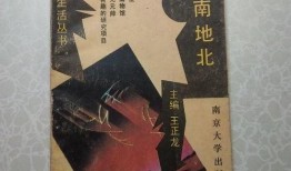 天南地北在线观看,跨越时空的在线之旅