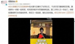 刘大锤最新爆料潘晓婷,潘晓婷惊人内幕引发热议