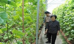 天津吃瓜最新事件爆料是真的吗,真相揭秘还是无端猜测？