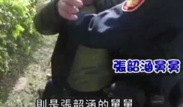 舅舅最新爆料视频大全免费观看,视频大全免费观看，揭秘幕后真相
