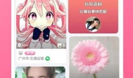 小七最新爆料视频下载,热点事件背后的真相