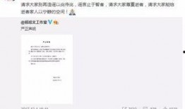网上爆料恩宝事件视频播放,真相与争议再引热议