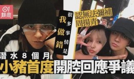 台媒私下爆料事件视频下载,揭秘幕后真相