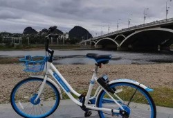 桂林单车爆料最新消息,悲剧背后引关注