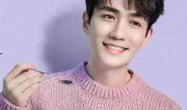 娱乐大爆料刘宇宁张翰,揭秘幕后故事与精彩瞬间