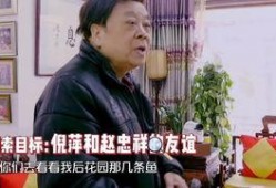 赵忠祥爆料豪宅视频,奢华生活引发网友热议