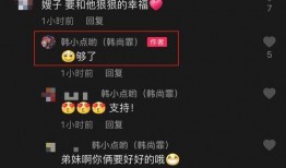 圈内爆料何超莲视频,圈内爆料背后的真相揭秘