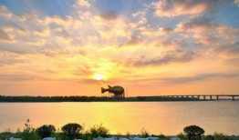 女子公园垃圾被爆料视频,女子公园垃圾问题引发热议