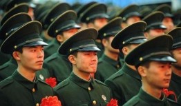 英国退役军官爆料视频播放,爆料视频背后的惊人真相