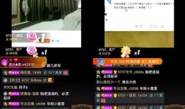网上爆料恩宝事件视频播放,真相与争议再引热议