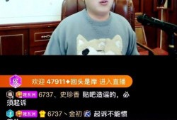 网上爆料恩宝事件视频播放,真相与争议再引热议
