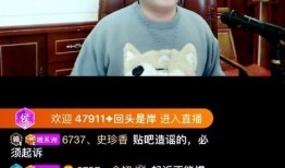 网上爆料恩宝事件视频播放,真相与争议再引热议