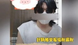 明星偷税爆料事件视频完整版,视频完整版揭露惊人内幕