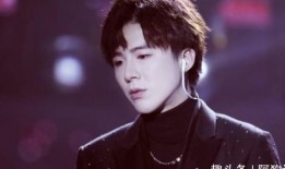 娱乐大爆料刘宇宁张翰,揭秘幕后故事与精彩瞬间