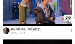 董哥大海爆料视频大全集,揭秘幕后真相，带你走进事件核心