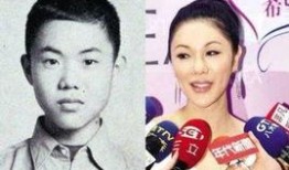 新加坡娱乐圈爆料,明星幕后故事大揭秘