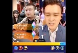 王雁林最新爆料消息视频,事件真相与幕后黑幕大曝光
