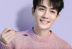 娱乐大爆料刘宇宁张翰,揭秘幕后故事与精彩瞬间